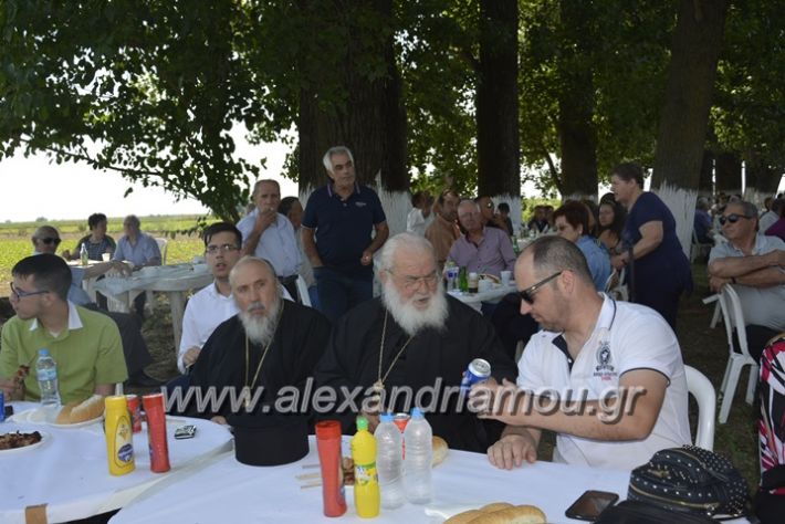 alexandriamou.gr_trikala28.5.2018424